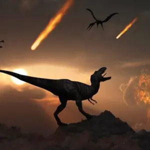 アメリカの草食恐竜の巨大な糞化石 /ティラノサウルス トリケラトプス