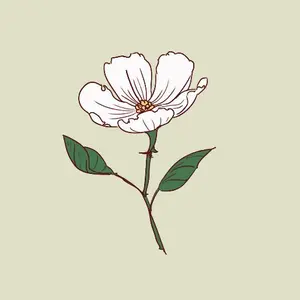 僕のヒーローアカデミア アクリルフィギュア クリアカード 名刺カード