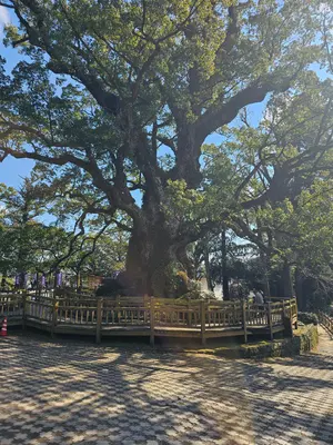 マロリーベスト 44サイズ 黒色 - メルカリ