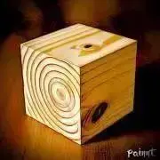 growth rings