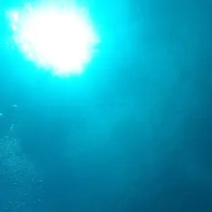 サガン鳥栖トップチーム支給ダウン【非売品】 サガン鳥栖トップチーム支給ウエア【非売品】 - メルカリ