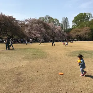 エルメス プレード 手織り《アヴァロンスプリング》カシミヤ100