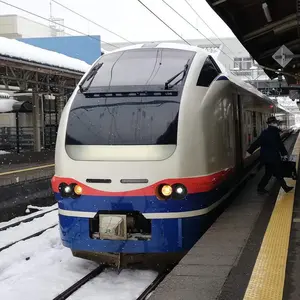 家スロ用メダル・コイン 約1500枚 - メルカリ