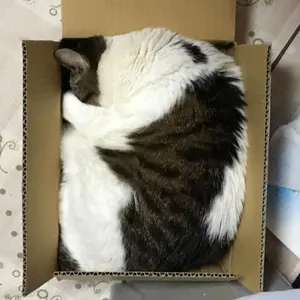 ホンダベンリィ　honda benly CB50JX プラモデル　union ホンダベンリィ honda benly CB50JX プラモデル union