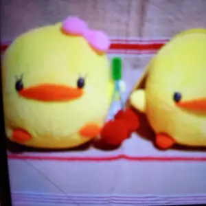 ぴよぴよあきちゃん