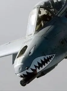 エアーファイター F-35AライトニングⅡ 第3航空団 飛行群臨時飛行隊