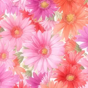 misamisa0122　（プロフ必読）