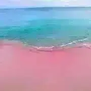 螺鈿細工仕様】スリーキャットのピルケース - メルカリ