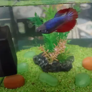セブンイレブン ハッピーくじ特賞 BIGぬいぐるみ 唐揚げ棒 - メルカリ