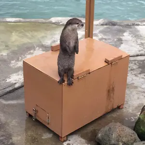 村上隆 となりの開花堂 カイカイキキ プロモカード - メルカリ