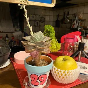 ドイツ自動車クラブ　ローランドラリーバッジ　1966年 ドイツ自動車クラブ ローランドラリーバッジ 1966年 - メルカリ