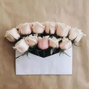 エリートトレーナーボックス ホワイトフレア　ポケモンセンター限定　英語版 エリートトレーナーボックス ホワイトフレア ポケモンセンター