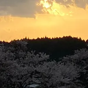 Stussy skullcap ルセラフィム チェウォン着用 ビーニー - メルカリ