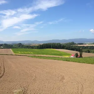 広島 BULLINGTON 42番 ユニフォーム 2013 - メルカリ