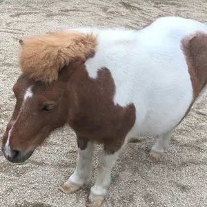 奏*）様 SEAN JOHN リバーシブル 中綿ジャケット 奏*）様 SEAN JOHN リバーシブル 中綿ジャケット - メルカリ