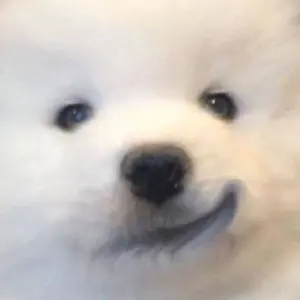 Legion Go ［シャードブラック］海外仕様(中国)日本語対応可能 Legion Go ［シャードブラック］海外仕様(中国)日本語対応可能