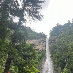 名古屋グランパス 2025練習用アウターシャツ、GK用、S、ブルー、ミズノ