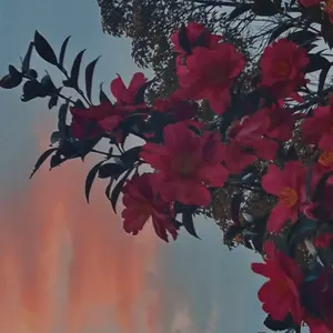 ざく@プロフ必読