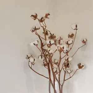 セラピーゲーム 三兎湊 実写グッズ ※バラ売り不可 - メルカリ