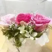 翌日配達】N1 袖無しハーフギリー - メルカリ
