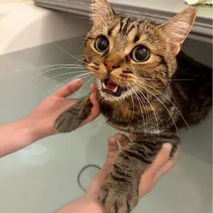 Ulna 商品説明 プロフ一読願います