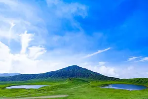 ハロプロエッグ DVD MAGAZINE 4本セット 譜久村聖宮本佳林小田さくら ハロプロエッグ DVD MAGAZINE 4本セット 譜久村聖宮本佳林小田さくら