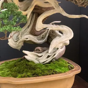 中国美術 鼻煙壷 硝子 彫刻 乾隆ガラス 香水 中国 金魚 骨董品