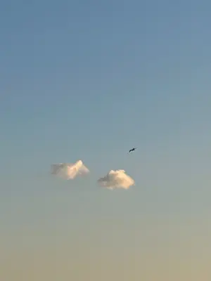 スキズ ソウルコン ポップアップ メンプロ スンミン 抱き枕 ぬいぐるみ