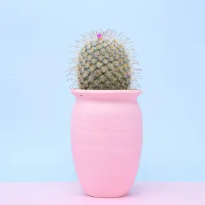 ⭐︎ロイヤルドルトン⭐︎ダスティとポピー ウェディング フィギュリン