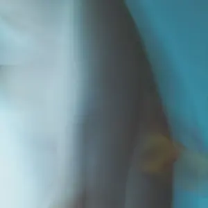 C《購入前にプロフィール欄ご確認下さい》