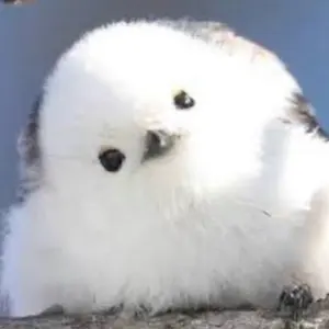 初音ミクシンフォニー　2021 缶バッジ　Rella シークレット 初音ミクシンフォニー2021 缶バッジ シークレット 初音ミク 東京 Rella