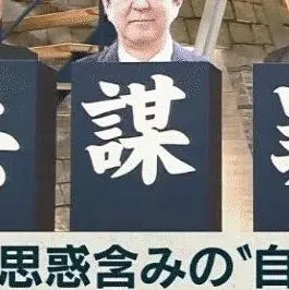 中国軍 防弾プレート 実物 小号 - メルカリ