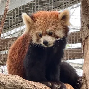 bzpgo@まとめ買い相談お気軽に