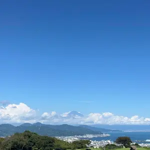 遊戯王 YAP1 コンプリートセット 極美品 - メルカリ