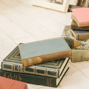 FGO 5周年 ニトクリス ご当地別 鳥取県 鳥取砂丘 A4 クリア