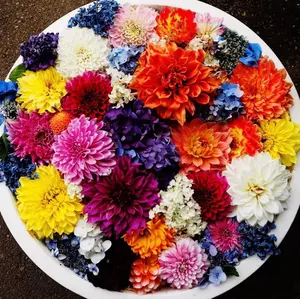 ✿‬‪初夏物に入替始めました‪✿