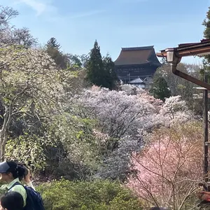 籃胎漆器　ローテーブル ダークブラウン　東大阪市引き取り限定　お値下げ可能です。 h*o様 籃胎漆器 ローテーブル ダークブラウン 東大阪市引き取り限定 お