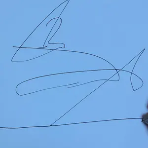 リ*リ様 ミステリーブラック相談アリ - メルカリ