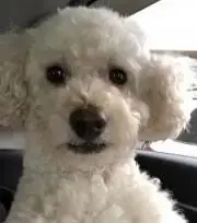 mio(プロフ読んでね)