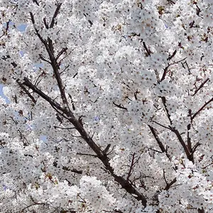 サラんぴ‼︎プロフ必読