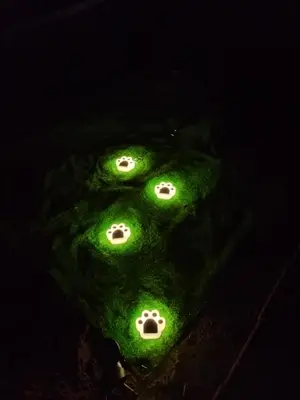 O月から働く社畜仮面　プロフGO!