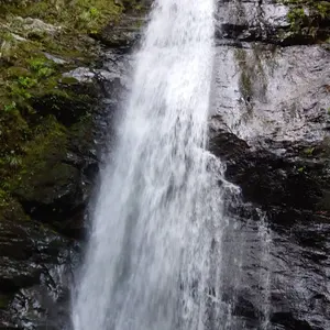 ☆ダンプ リア コボレーン 田村 モーター不動？ケツコボ☆ - メルカリ