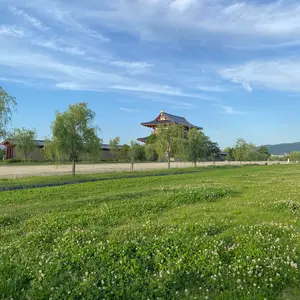 【お値下げ中】クリスタルボウル　ヒーリング　楽器（B音） お値下げ中】クリスタルボウル ヒーリング 楽器（B音） お値下げ中