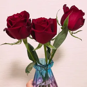 ウマ娘 BOSS キャンペーン 当選品腕時計 ジェンティルドンナ - メルカリ