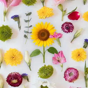 NIKE元ライオンズ選手 支給品 XLサイズ Vジャン ネイビー - メルカリ