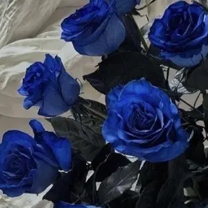 超特急 カイ ミニマスコット 2点セット 超特急 カイ ミニマスコット 2点セット - メルカリ