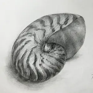 天然無垢タモ 長方形テーブル 1200×600mm - メルカリ