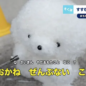 Azavana 詩結 バースデーグッズ ギャラくんチェキケース キーホルダー