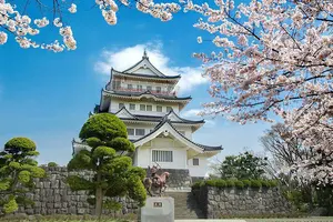 村上隆 Murakami.Flower #6097 キョンシー ED100 - メルカリ