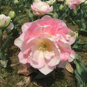 parras様専用ページです。着物リメイク ショールベスト グレー - メルカリ